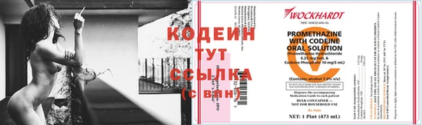 мдпв Верея