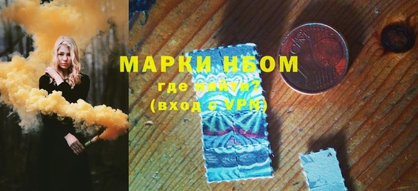мдпв Верея