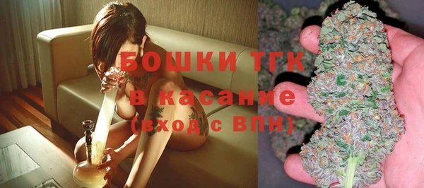 мдпв Верея