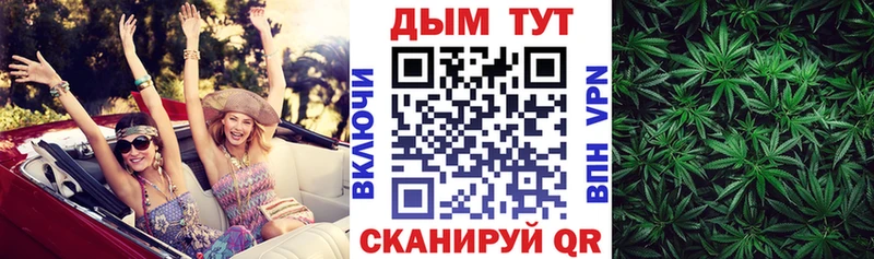 Конопля конопля Медынь